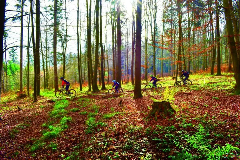 Bicycle routes and bicycle rentals – Photo 1