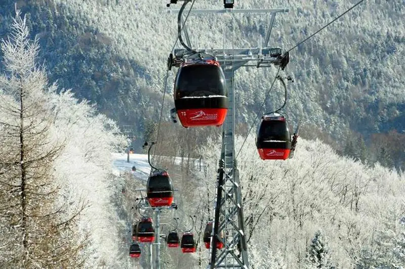 Jaworzyna Krynicka – Photo 3